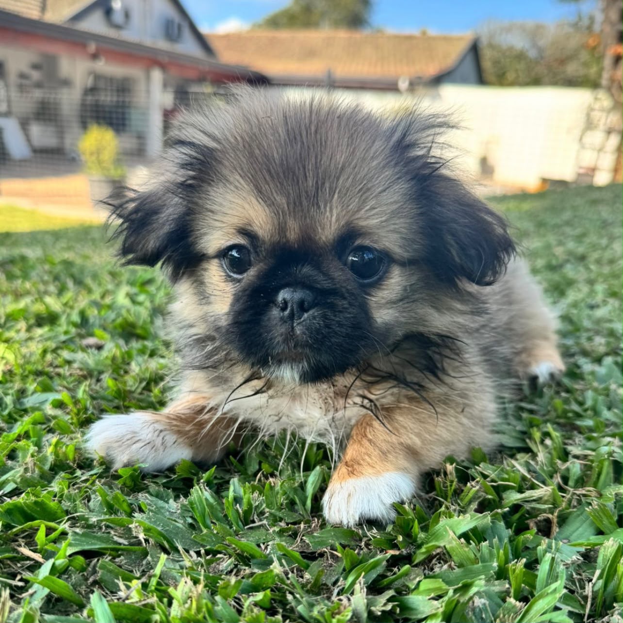 Hugo IMG-20260718-WA0005